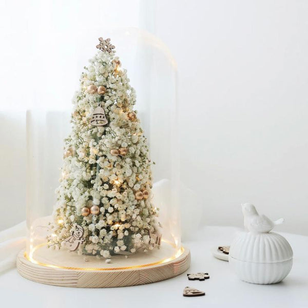 (Nov 26 2PM/4PM) Event - Holiday Light Dome (Deposit $35) $100