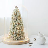 (Nov 26 2PM/4PM) Event - Holiday Light Dome (Deposit $35) $100