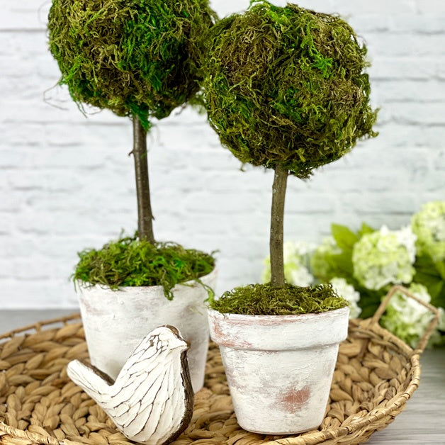 (Aug 29 1:30PM) Event - Topiary Arrangement (Deposit $35) $68