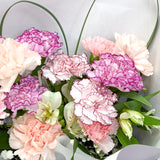 12 Carnations Fresh Flower Bouquet