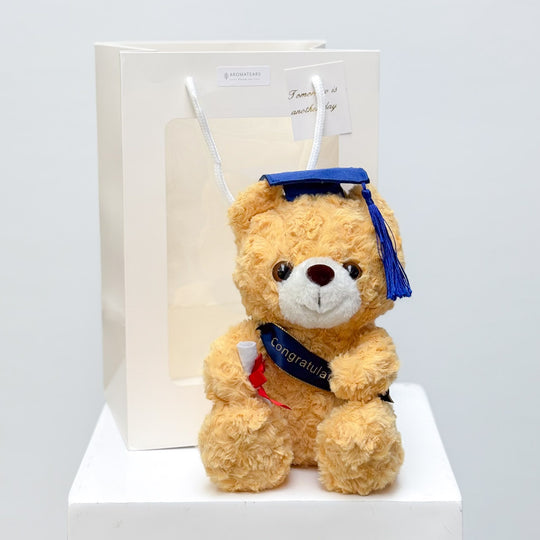 Large Graduation Bear in Bag