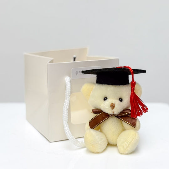 Mini Graduation Bear in Bag