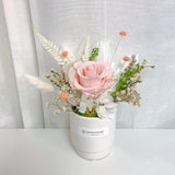 Designer's Choice Single Preserved Roses Centerpiece - Aromatears flowerGeneral
