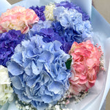 Fresh Hydrangea Mixed Round Bouquet - Aromatears flower Hydrangea Round