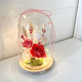 Preserved Roses Flowers Light Dome - Aromatears flower Preserved Roses