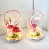 Preserved Roses Flowers Light Dome - Aromatears flower Preserved Roses