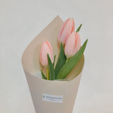 Tulip - Designer's Choice Fresh Bouquet - Aromatears flower Designer Choice