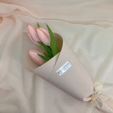 Tulip - Designer's Choice Fresh Bouquet - Aromatears flower Designer Choice