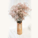 Preserved Baby Breath Bundle