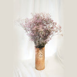Preserved Baby Breath Bundle