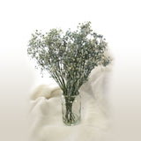 Preserved Baby Breath Bundle