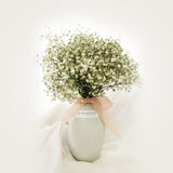 Preserved Baby Breath Bundle