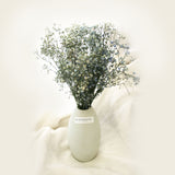 Preserved Baby Breath Bundle