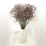 Preserved Baby Breath Bundle