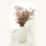 Preserved Baby Breath Bundle